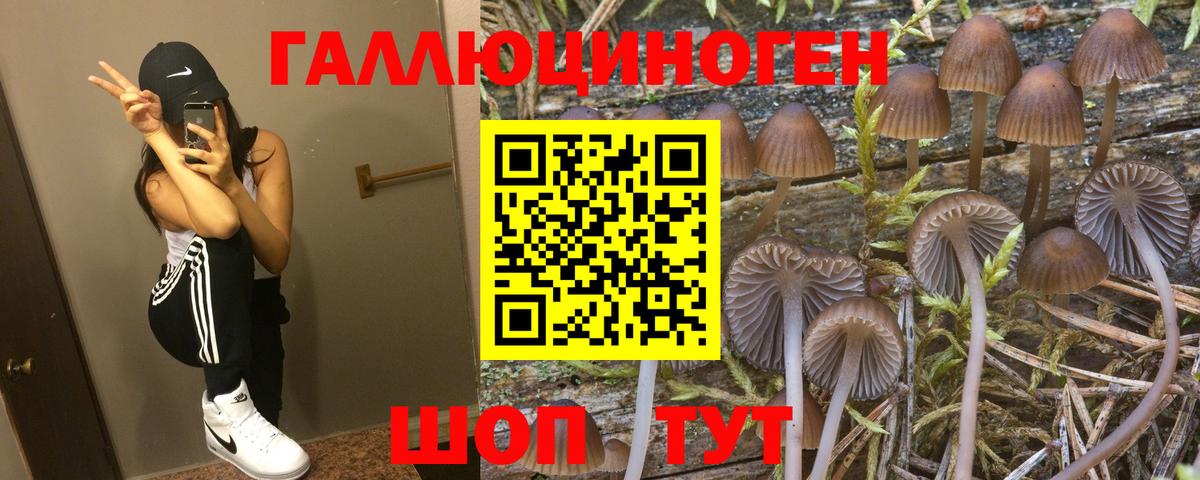 Галлюциногенные грибы Magic Shrooms  Вход с VPN  Псилоцибиновые грибы ЛСД  наркота  Фролово 