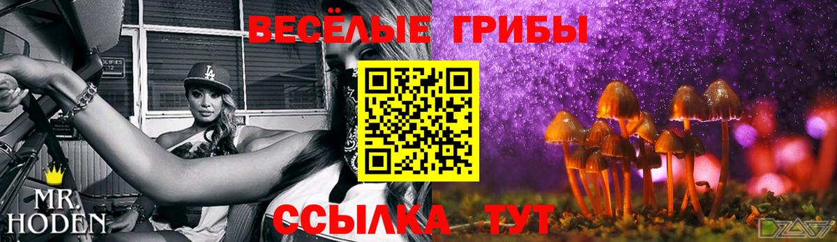 Галлюциногенные грибы GOLDEN TEACHER Фролово